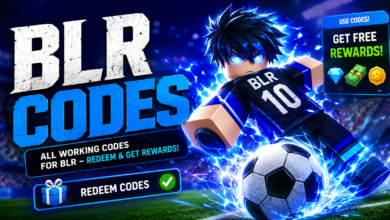 BLR Codes
