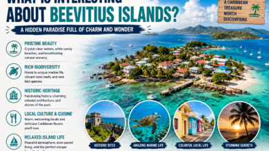 What Is Interesting About Beevitius Islands
