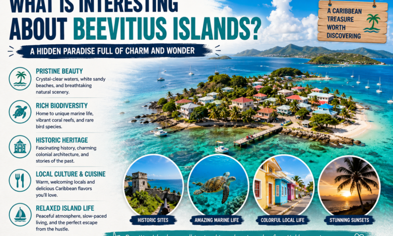What Is Interesting About Beevitius Islands