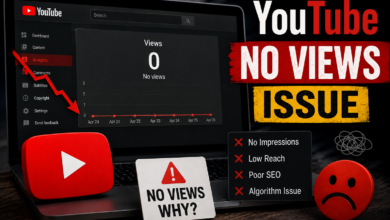 YouTube No Views Issue